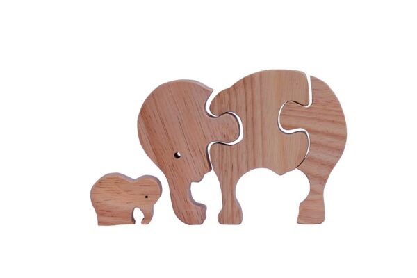 Elephant family